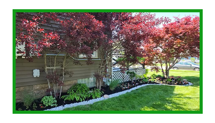 Lawn Land Leveling Evaluation