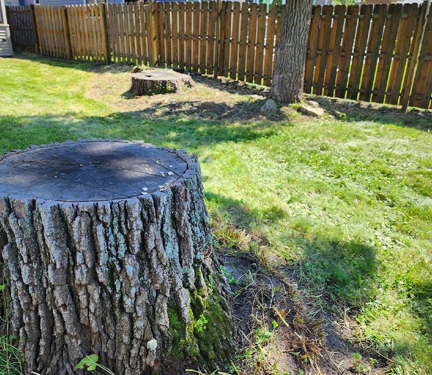 Top-Rated Illinois Lawn Contractors