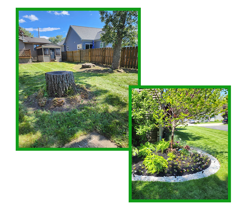 David's Landscaping Services